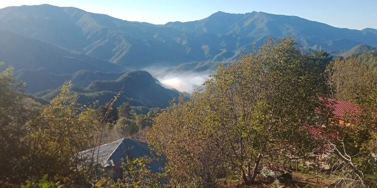 Amanos Dağları'nda orman yangını