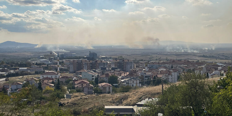 Anız yakılması ciddi bir sağlık tehdidi haline geldi