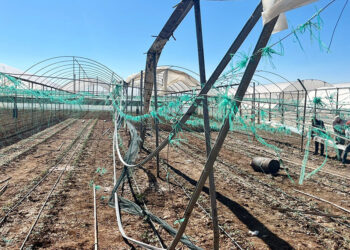 Antalya'da kuvvetli rüzgar ve yağmur, seralara zarar verdi