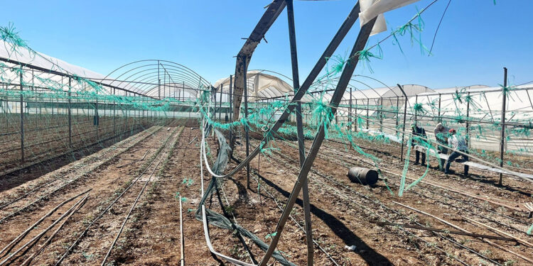 Antalya'da kuvvetli rüzgar ve yağmur, seralara zarar verdi