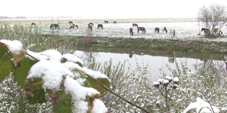 Ardahan kar yağışıyla beyaza büründü