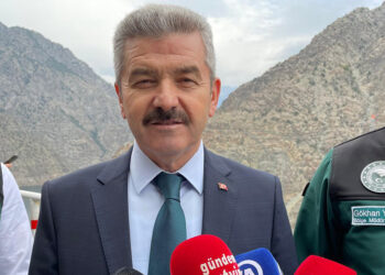 Artvin bir hidro-su, yeşillik ili