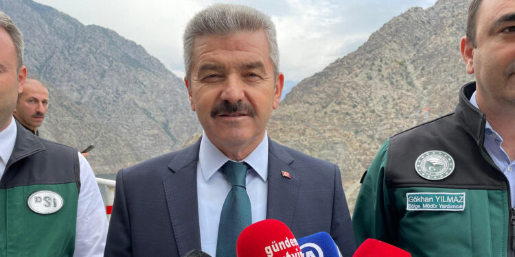 Artvin bir hidro-su, yeşillik ili