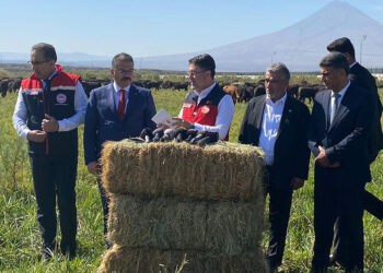 Türkiye'nin kırmızı et ithalatını bitirmek istiyoruz