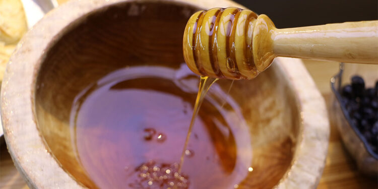 Bal çeşitliliğinde ilk sıradayız
