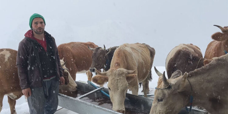 Bayburt'ta besicilerin karla mücadelesi