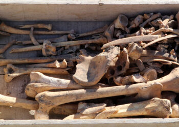 Hacılar Höyüğü'nde 5 bin yıllık iskelet bulundu