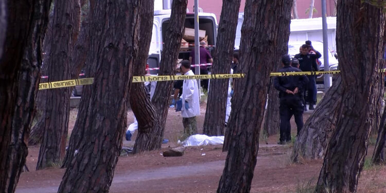 Bakırköy'de hastane bahçesinde eşini vurup intihar etti 