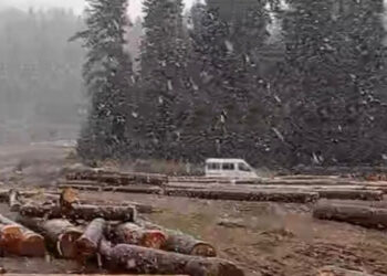Bartın'ın yüksek kesimlerine mevsimin ilk karı düştü