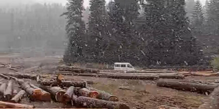 Bartın'ın yüksek kesimlerine mevsimin ilk karı düştü