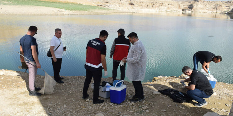 Batman'daki balık ölümleri uzman ekip tarafından incelenecek