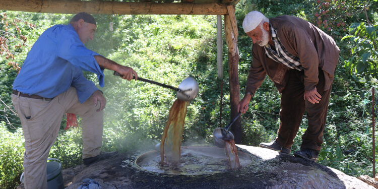 Bitlis'te asırlık pekmez geleneği