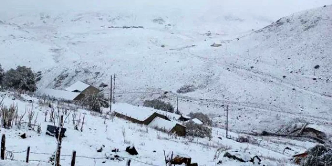 Bolu ve gümüşhane'de kar yağışı