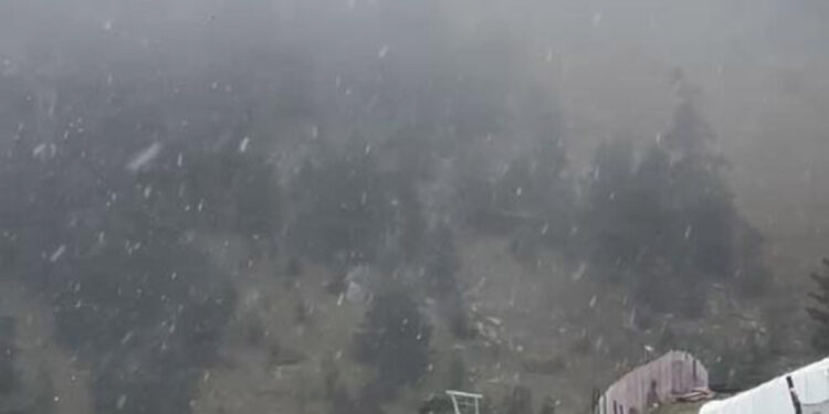 Bolu'ya mevsimin ilk karı yağdı