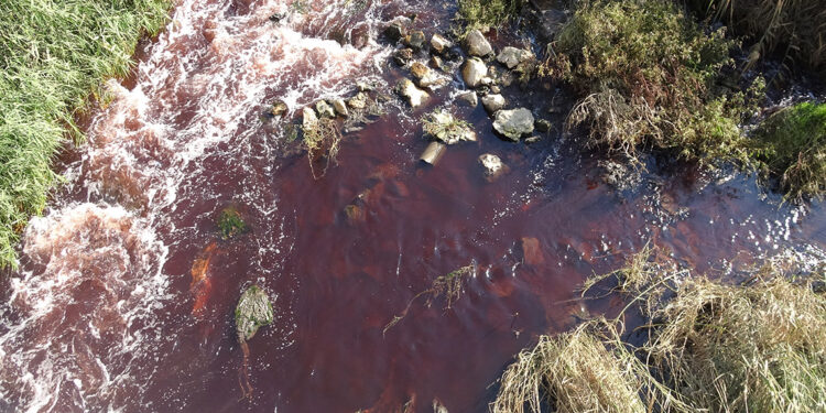 Bursa Ovası'nı besleyen Ayvalı Dere, kırmızıya büründü