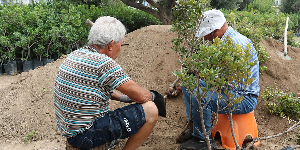 Her sene 20 bin fidan üreterek, 5 yılda 100 bin sakız ağacını toprakla buluşturmayı hedefleyen Hasan Ege Tütüncüoğlu Sakız köyü kurmayı hedefliyor.