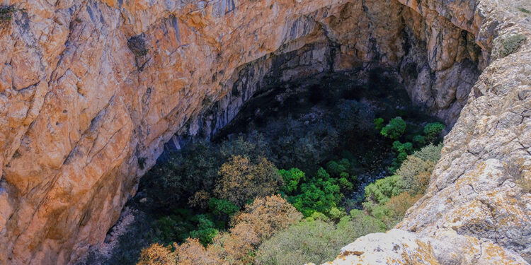 Çölde vaha gibi yemyeşil obruk