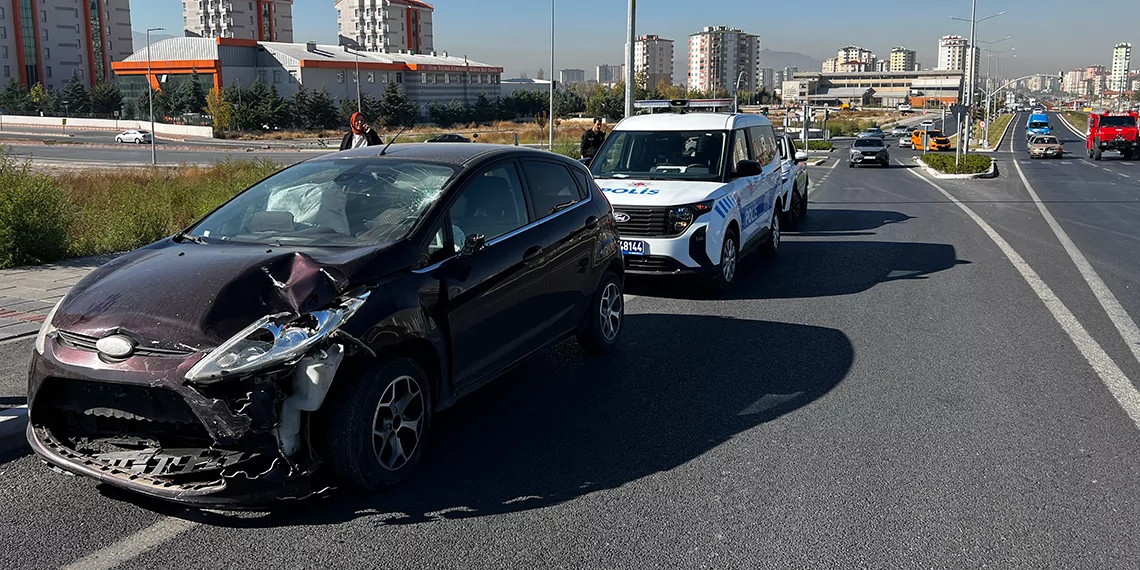 Çuvalla mahalleden uzaklaştırmak istenen kedi sahiplendirilecek