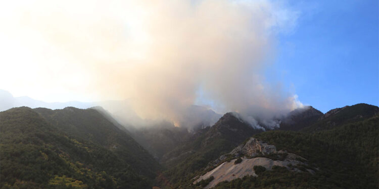 Denizli'de devam eden yangına müdahale sürüyor
