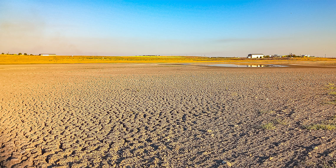 Dicle Üniversitesi yerleşkesinde bulunan ve 100'ün üzerinde farklı kuş türünün bir arada yaşadığı nadir yerlerden biri olan Kabaklı Göleti can çekişiyor.