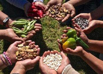 Daha iyi bir yaşam ve daha iyi bir gelecek için 'gıda hakkı'