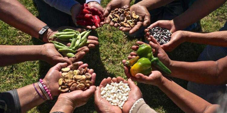 Daha iyi bir yaşam ve daha iyi bir gelecek için 'gıda hakkı'