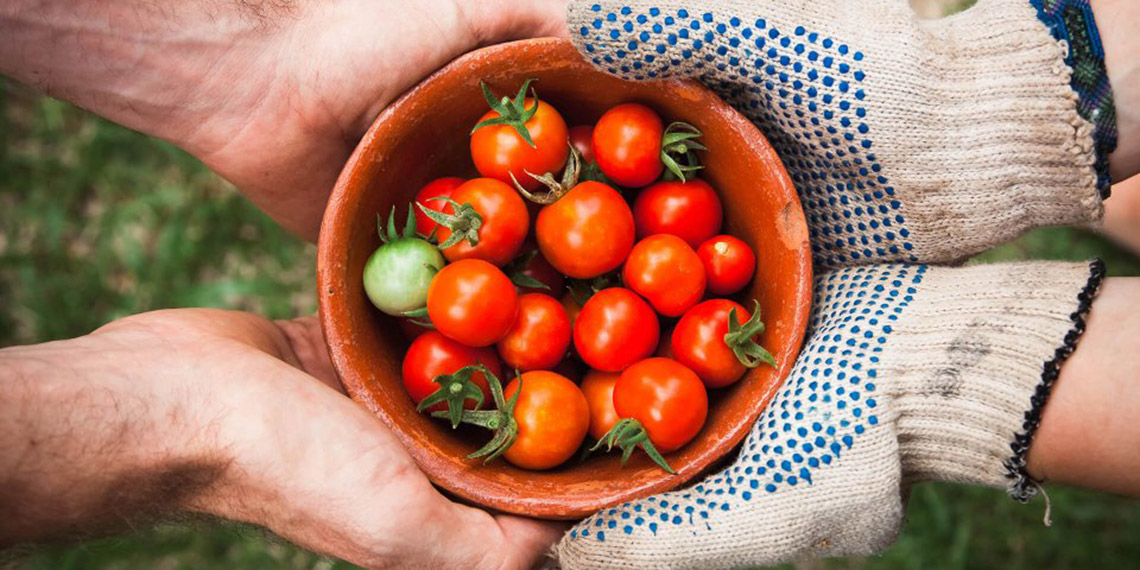 Daha iyi bir yaşam ve daha iyi bir gelecek için 'gıda hakkı'