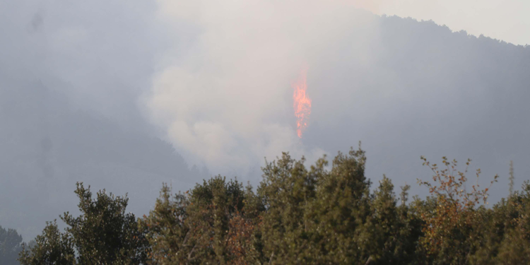 Denizli'de orman yangını 5'inci gününde