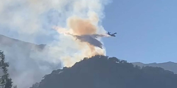 Denizli'de orman yangını çıktı