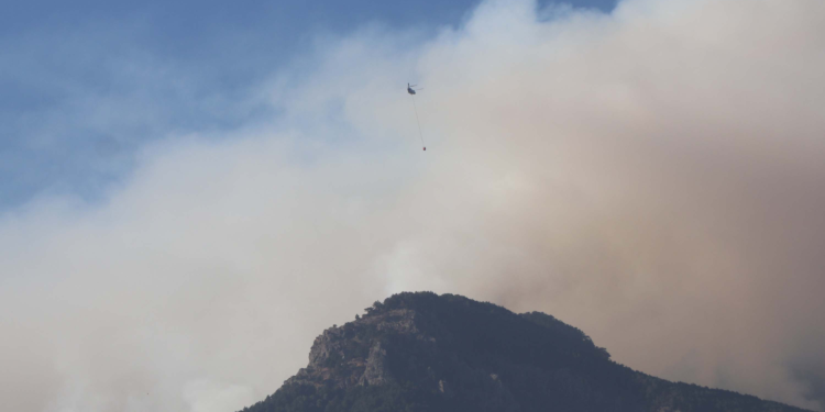 Denizli'de orman yangını ikinci gününde