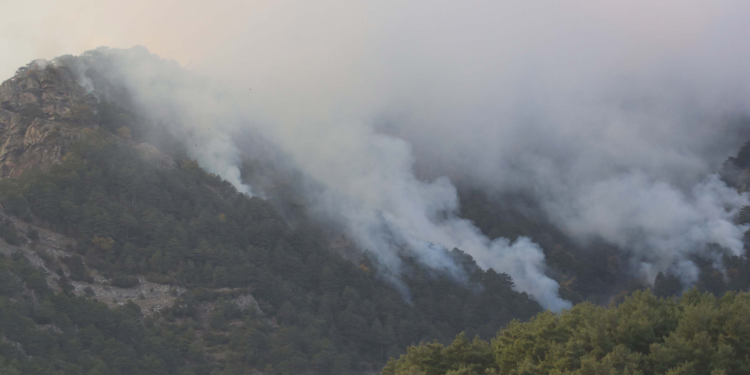 Denizli'deki orman yangını 3'üncü gününde