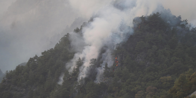 Denizli'deki orman yangını 6'ncı gününde