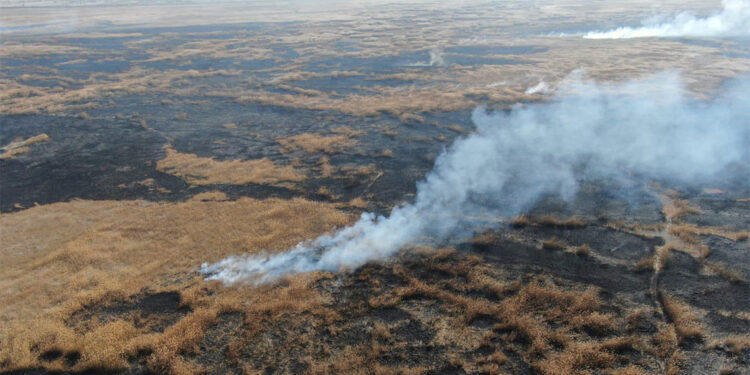 Eber Gölü'nde 5 gün önce çıkan sazlık yangınına havadan müdahale