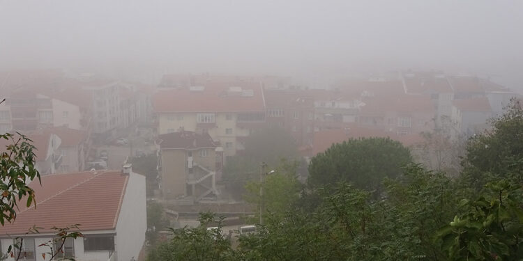 Edirne'de yoğun sis; binalar gözden kayboldu