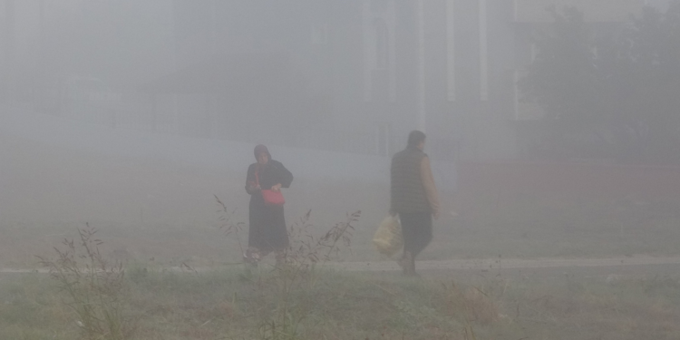 Edirne'de yoğun sis etkili oldu