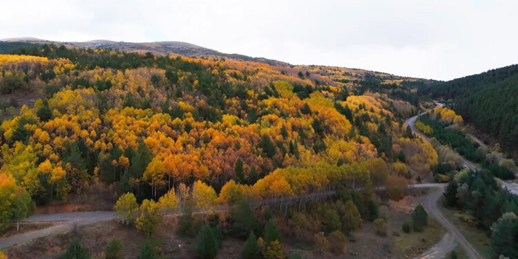 Erzincan'da sonbahar güzelliği