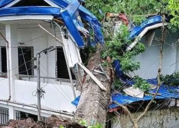 Filipinler’i vuran Trami Tropik Fırtınası'nda can kaybı 81’e yükseldi