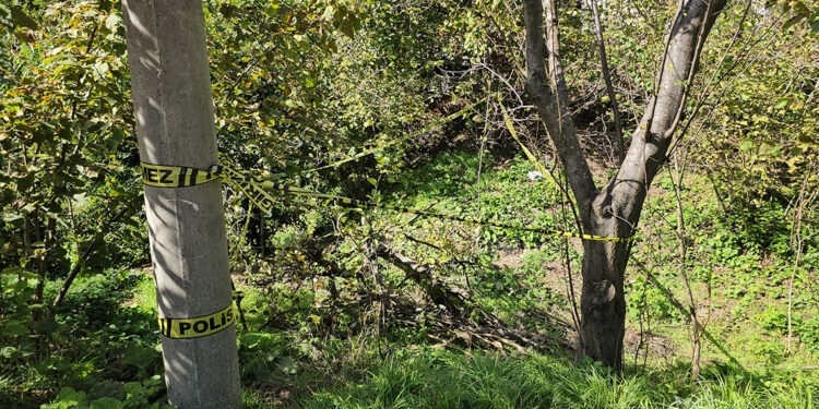 Fındık bahçesindeki kadını domuz sanıp, tüfekle vurarak öldürdü