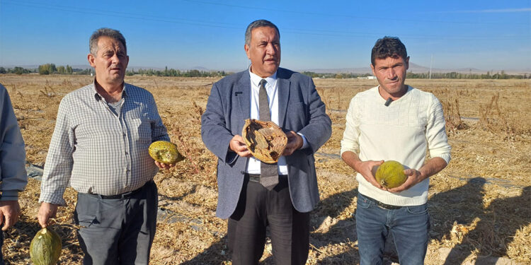 Masa başında laf üretmek yerine tarlaya çözüm üretin
