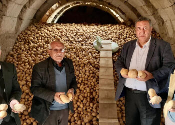 Niğde'de patates üreticileri zor günler yaşıyor