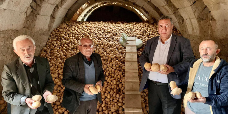 Niğde'de patates üreticileri zor günler yaşıyor