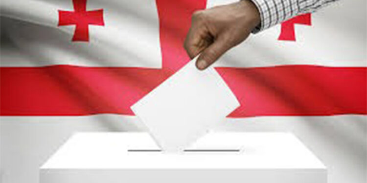 Gürcistan'da seçimi iktidar partisi kazandı