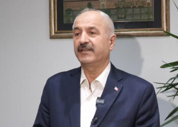 Gebze Belediye Başkanı'ndan 'hayvan katliamı' açıklaması