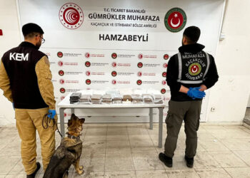 Hamzabeyli Gümrük Kapısı'nda operasyon
