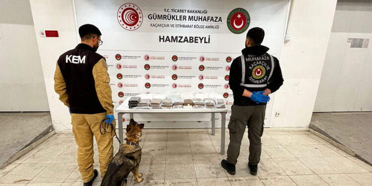 Hamzabeyli Gümrük Kapısı'nda operasyon