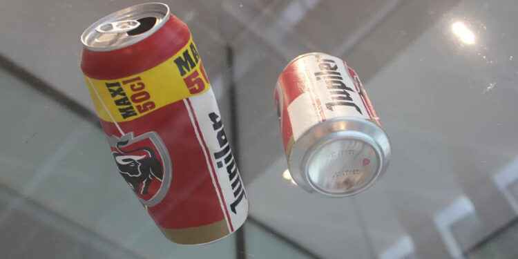 Hollanda'da bir müze çalışanı sanat eserini yanlışlıkla çöpe attı