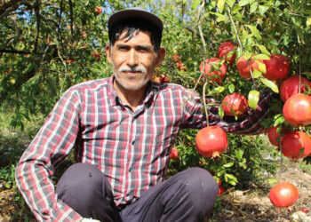 1 kilo nar 1 ekmek almıyor