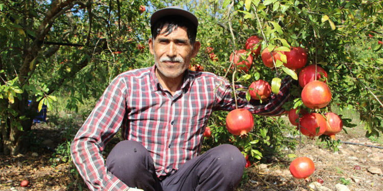 1 kilo nar 1 ekmek almıyor