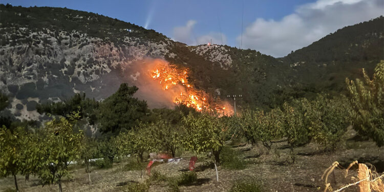 Kemalpaşa'daki ormanlık alanda çıkan yangın söndürüldü