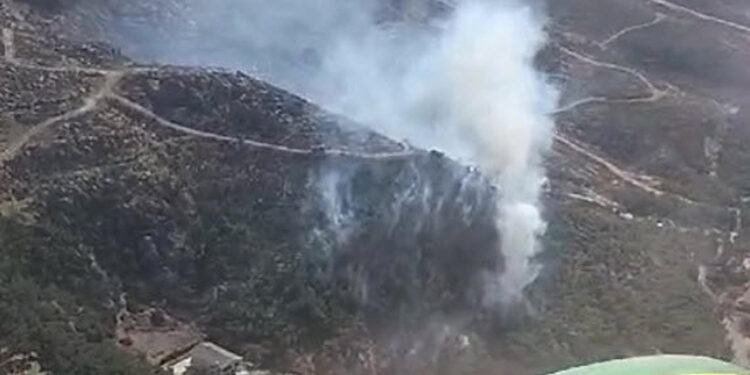 İzmir Foça'da ormanda yangın